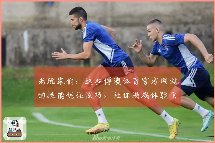 老玩家们，这些博澳体育官方网站的性能优化技巧，让你游戏体验飞升！